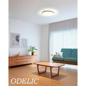 V[OCg LED 12 10 8 6 k    Rt led Ki  Vv ODELIC rO Q q  F I[fbN VƖ ȒPt { a@ 邢 