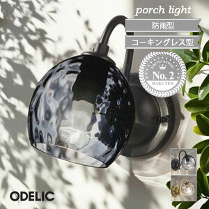 I[fbN ANA |[`Cg  KX k ʏƖ EH[^[ ZT[ʔ ǖʏƖ X[NO[F dF led lC O ^ 킢 ۂ   odelic Vv