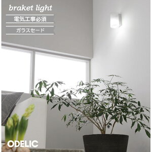 uPbgCg LED  I[fbN ANA ~Xg KX dF F F LEDv M60W ODELIC Ki AQUA Mist ȓdKXɎ{@ׂȃtXgH̃Of[V