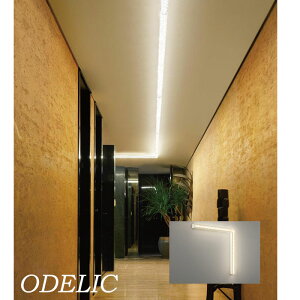 VfA ODELIC  lC dF AN _ OWA[ S[WX GKg ؂₩ k  vYJbg led VƖ ǖʏƖ GXe JtF }V OL291167