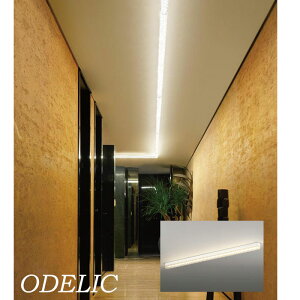 VfA ODELIC  lC dF AN _ OWA[ S[WX GKg ؂₩ k  vYJbg led VƖ ǖʏƖ GXe JtF }V OL291165