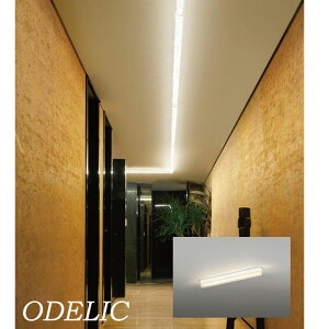 VfA ODELIC  lC dF AN _ OWA[ S[WX GKg ؂₩ k  vYJbg led VƖ ǖʏƖ GXe JtF }V OL291166