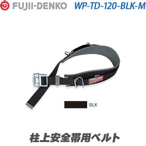 ydH/czSїpxg yʌ^ ubN MTCYyWP-TD-120-BLK-Mz