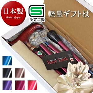 yΉz ܂肽 y  XebL vXgbv |[` Xgbvt fB[X   Lk VjA U bsO ̓ Ê  Ď   SG COLOR