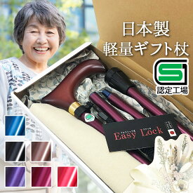 【名入れ対応】 杖 折りたたみ 軽量 女性 つえ ギフト ステッキ プルストップ おしゃれ お洒落 伸縮 シニア 散歩 無料ラッピング 古希 喜寿 米寿 卒寿 白寿 SG COLORスタンダードTC11C08