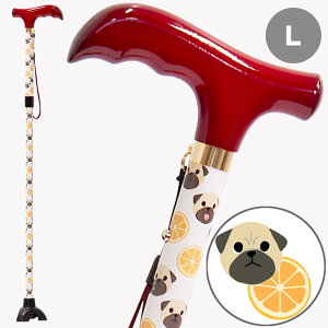 yʌ ]΂ʏv[gzCオI  JCC L  ybg Aj} {    IV XebL  5iK Lk  3_ fB[X ̓