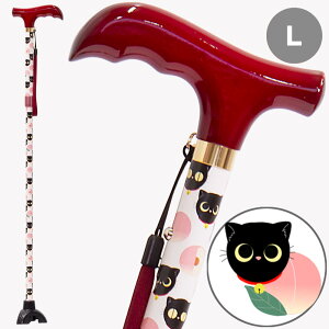 yʌ ]΂ʏv[gzCオI  JCC L  ybg Aj} {    IV XebL  5iK Lk  3_ fB[X ̓