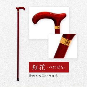 y{zѓc쏊  XebL ~ El MtgΉ  I[N VjA v[g Y { ѓc쏊 hV̓ ̓ ̓ v[g Mtg 蕨 җj U