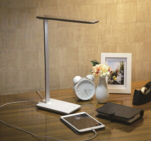 LED e[uv X}[g  CeA fXNCg ^ USB X}z[d  ׋ rO Q ܂߂ā@RpNg@IsAƖ MotoM uh GS1702S (Vo[)