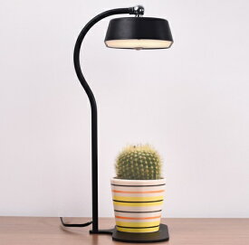 LED デスクスタンド ライト 水耕栽培 卓上ライト おしゃれ インテリア 柔らかい光 省エネ シンプル 曲線フォルム 草花 ライトアップ 書斎 勉強 読書 新生活 オリンピア照明 MotoM ブランド MST01-BK (ブラック)