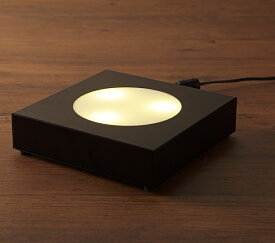 Akarina-L16BK 黒 オリンピア照明 MotoM ブランド MAI16-BK LED 灯菜 和室 洋室 インテリア 緑 花 おしゃれ ライトアップ コンパクト 省スペース