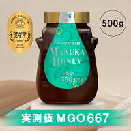 【公式】TCN マヌカハニー MGO550+ (500g) ニュージーランド産 インカナムマヌカハニー 非加熱 生はちみ…