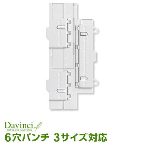 yVXe蒠tBzDavinci _EB` 6p` A5AA|PbgTCYp (DR1300)i[֌j