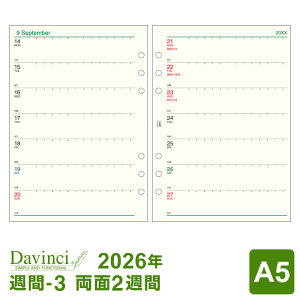 _{Point5{^y2026NŃVXe蒠tBzDavinci _EB` A5TCY 6 T-3 J2T Ԗڐt 1/4n܂藼Ή DAR2603i[֌j