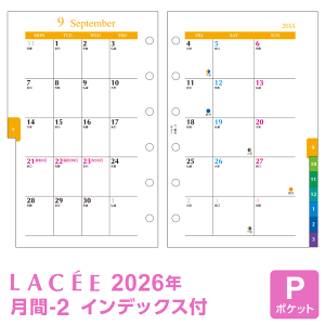 _{Point5{^y2026NŃVXe蒠tBzLacee Z ~j6TCY |Pbg -2 J1 ubN jn܂ CfbNXt 1/4n܂藼Ή LAR2684i[֑Ώ