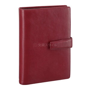 _{Point5{ N[|700~OFF^yVXe蒠zDavinci _EB` X[p[CX {v oCuTCY B6 Oa24mm 6 yz_[ DB3005 3Fi1~Ώ NX}Xv[