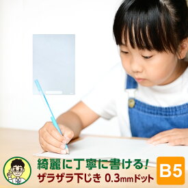 ＼Point5倍／【学習文具】【メール便対象】先生おすすめ！ 魔法のザラザラ下じきB5（0.3mmドット）小学生以上～向け