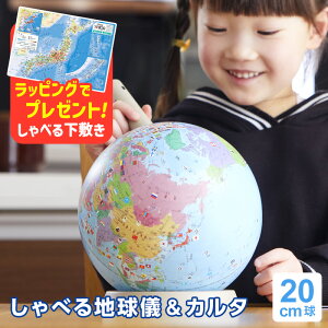しゃべる国旗付地球儀＆カルタ タッチミー OYV1138（レイメイ藤井）