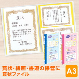 ＼本日Point2倍／【学習文具】賞状ファイル A3サイズ 賞状入れ 賞状ケース 賞状ホルダー 賞状の収納 保管 収納ケース 10ポケット 20枚収納 クリアファイル ホルダー 幼稚園 小学生 中学生 子供
