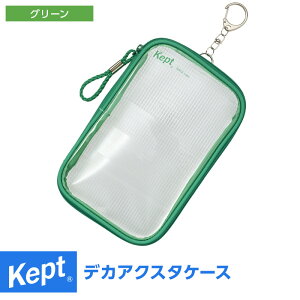 _{Point5{^yKept PvgzfJANX^P[X 傫 |[`   [ ANX^h ^  2025f 7Fi[֌2܂Łj