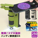 ＼望遠鏡当たる／【学習用顕微鏡】ハンディ顕微鏡DX 100〜250倍ズーム LEDライト UVライト 透過/落射 スマホ撮影 アダ…