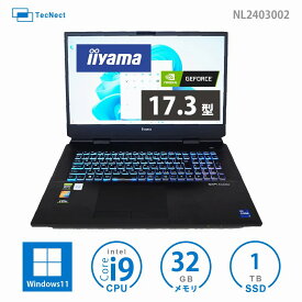 iiyama ハイスペック ゲーミング ゲーム ノートパソコン 11世代 i9 GeForce RTX 3080 16GB SSD1TB メモリ32GB 全部入りスペック 大画面 17.3インチ フルHD 1920*1080 リフレッシュレート144Hz ゲーム用ノートPC 映像編集 画像編集 キーボードLED