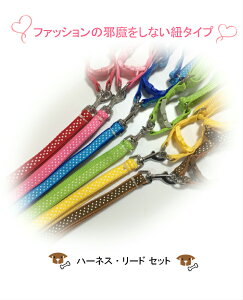 n[lX[hZbgy^ ^pzn[lX [h ^ R^Cvy[֑IzyzւȂ炠yΉzyRCPz