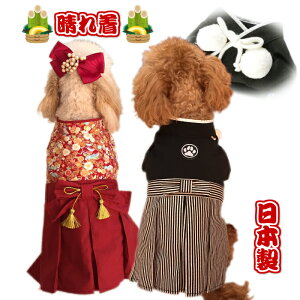   t  H ~  ꒅ j    nEByRXvzyL LzyRCPzN ʐ^Be CX^f