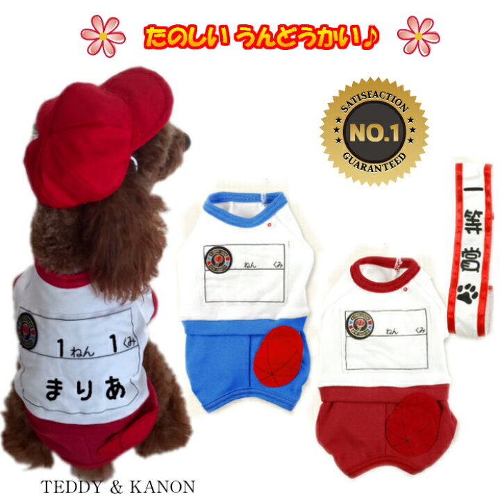 楽天市場 在庫限りで販売終了 犬服 春 日本製 体操服 犬 運動会 服 コスプレ 犬服 小型犬 中型犬用 Rcp 犬服 Teddy Kanon 楽天市場店