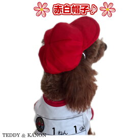 楽天市場 犬 体操 服の通販