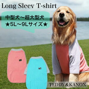 y^ ^ ^z OX[u TVc ̂т̂уXgb` LkQ y݌Ɍ̔z