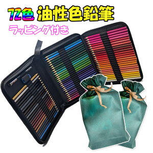 FM 72F [obNt bsOt Mt FM 낦҂ F悢 K S q w l v[g Mtg