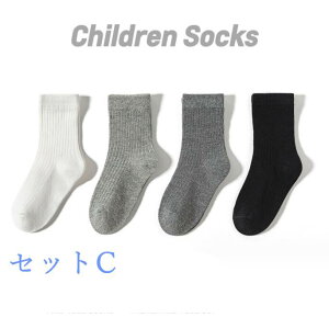 q CLbY C LbY@qpV[g\bNX4g j̎q ̎q n  킢 xr[ C WjA ۈ牀 ct w v[g@ʉʊwC q 