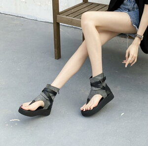 T}[u[c@u[cT_@u[eB[@[q[@EFbW\[ T_@҂ݏグV[Y@ăT_@OfBG[^[ u[cT_ ₷@fB[XC