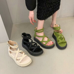 T}[u[c@OfBG[^[ u[cT_ fB[X T}[u[c V[gu[c  tbgV[Y q[ u[cT_ ₷ V[Y y^R q[4.5cm@ r