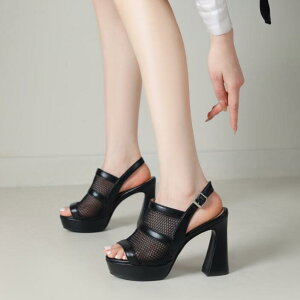 T}[u[c T_ u[cT_@҂ݏグ@ău[cT_ T_@OfBG[^[ u[cT_ Cq[@@EFbWV[gu[c fB[X ub