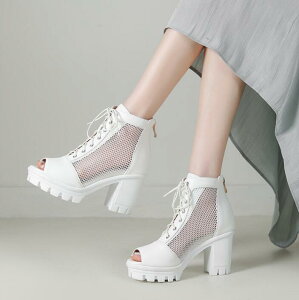 T}[u[c T_ u[cT_@҂ݏグ@ău[cT_ T_@OfBG[^[ u[cT_ Cq[@@EFbWV[gu[c fB[X ub