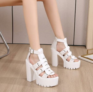 T}[u[c T_ u[cT_@ău[cT_ T_@OfBG[^[ u[cT_ Cq[@@EFbWV[gu[c fB[X ubN