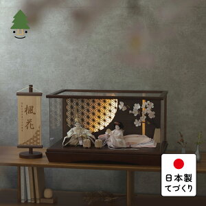 l l` 킢 RpNg  Ղ ߋ ĂÂ ؐ Y VR _ ЂȐl` ̎q P[X Ƃ̕Ђȁ@͂ȁ@~P[X@LED~̗t@BB 3HH-0113