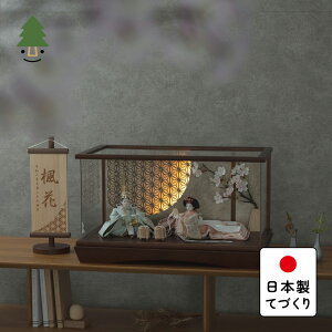 l l` 킢 RpNg  Ղ ߋ ĂÂ ؐ Y VR _ ЂȐl` ̎q P[X Ƃ̕Ђȁ@@~P[X@LED~̗t@B 3HS-0115