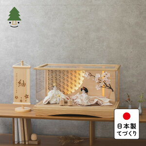 l l` 킢 RpNg  Ղ ߋ ĂÂ ؐ Y VR _ ЂȐl` ̎q P[X Ƃ̕Ђȁ@䂫@~P[X@LED~̗t@NN 3HY-0112