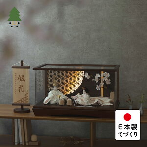 l l` 킢 RpNg  Ղ ߋ ĂÂ ؐ Y VR _ ЂȐl` ̎q P[X Ƃ̕Ђȁ@䂫@~P[X@LED~̗t@BB 3HY-0113