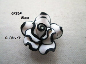 GR869@oԌ`@21mm@1݌Ɍ