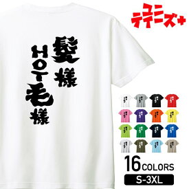 【髪様 HOT毛様】 神様 仏様 ハゲ はげ 薄毛 AGA 筆文字 おもしろ ネタ 半袖 Tシャツメンズ レディース ユニセックス ホワイト ブラック グレー レッド ピンク パープル オレンジ イエロー ネイビー ブルー グリーン