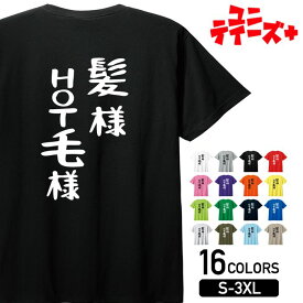 【髪様 HOT毛様】 神様 仏様 ハゲ はげ 薄毛 AGA ゆる文字 おもしろ ネタ 半袖 Tシャツメンズ レディース ユニセックス ホワイト ブラック グレー レッド ピンク パープル オレンジ イエロー ネイビー ブルー グリーン