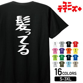 【髪ってる】 神ってる ハゲ はげ 薄毛 AGA ゆる文字 おもしろ ネタ 半袖 Tシャツメンズ レディース ユニセックス ホワイト ブラック グレー レッド ピンク パープル オレンジ イエロー ネイビー ブルー グリーン