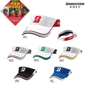 y12/1-31聜SiP3{iGg[vjzuaXg vfoCU[ Lbv}[J[t CPSG56@2015Ntăf