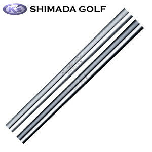 cSt쏊@K's-Wedge HW120 Vo[@VtgHʓrKv