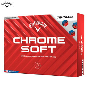 LEFC N\tg gD[gbN St{[ 2024 CHROME SOFT TRUTRACK 1_[X