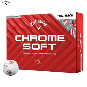 ʌ LEFC N\tg gD[gbN USA CHROME SOFT USA TRUTRACK 1_[XSt{[